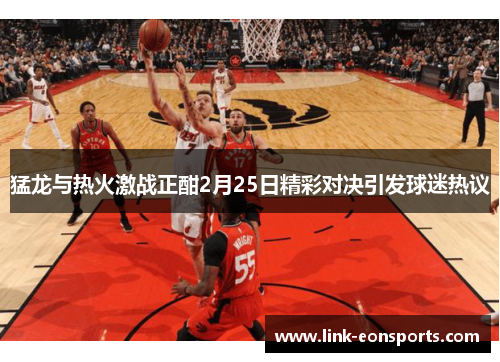 猛龙与热火激战正酣2月25日精彩对决引发球迷热议